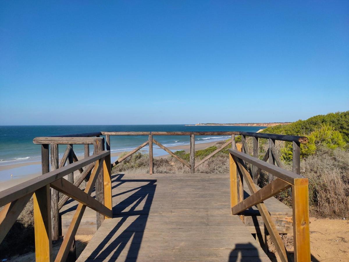 Alzahra Villa Conil De La Frontera Dış mekan fotoğraf